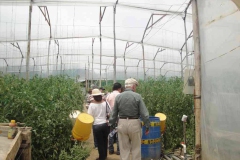 28-El-cultivo