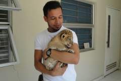 23-Recien-nacido-en-el-Zoo