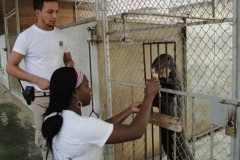 28-Animales-en-rehabilitacion